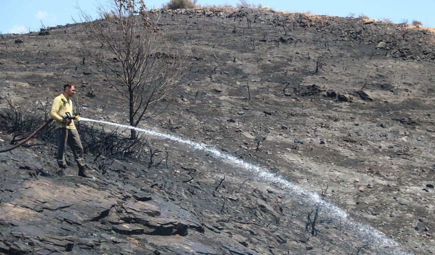 Alanya'da makilik yangınında 10 dönüm zarar gördü