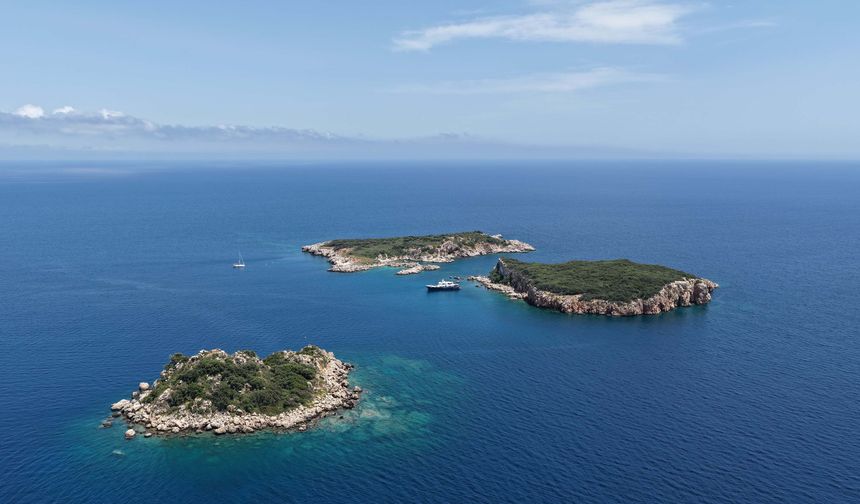 Üç Adalar'da deniz yaşamını koruma çalışmaları başladı