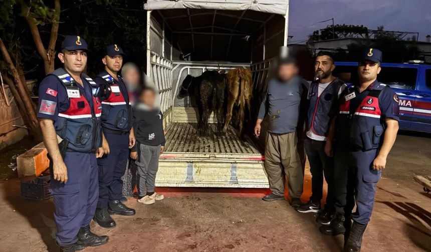 Antalya'da hayvan hırsızlığı olayı Jasat Ekiplerince aydınlatıldı