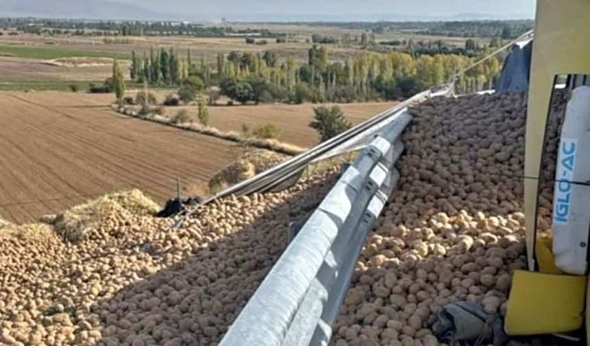 Patates yüklü TIR devrildi