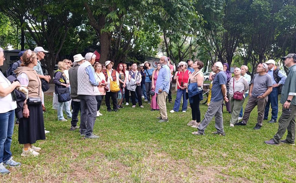 Antalya'da göçmen ağaçları