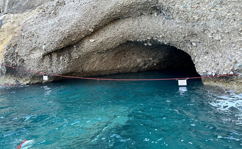 Antalya'da Akdeniz foklarının yaşam alanları koruma altına alınıyor