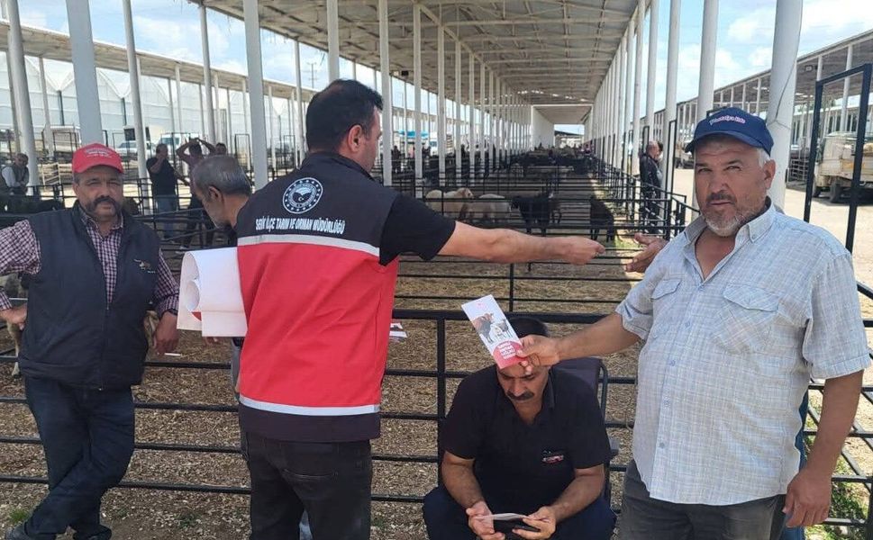 Serik'te kurbanlık satış yerlerinde denetim