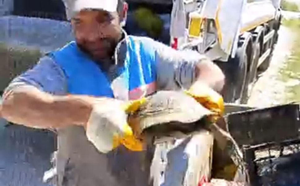 Alanya'da çöpe atılan kaplumbağa kurtarıldı