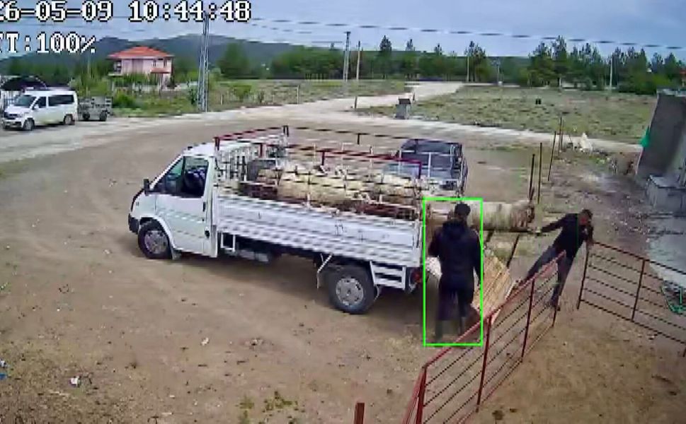 Koçun saldırısına uğrayan besici kamyonetten düştü