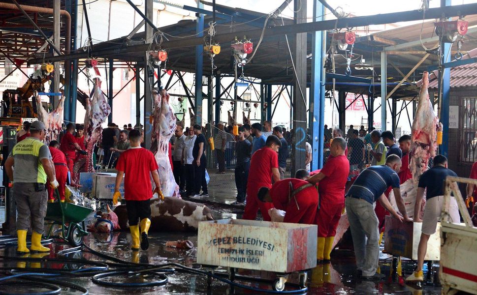 Sokakta kurban kesip, atıklarını gömenlere 29 bin 529 lira ceza
