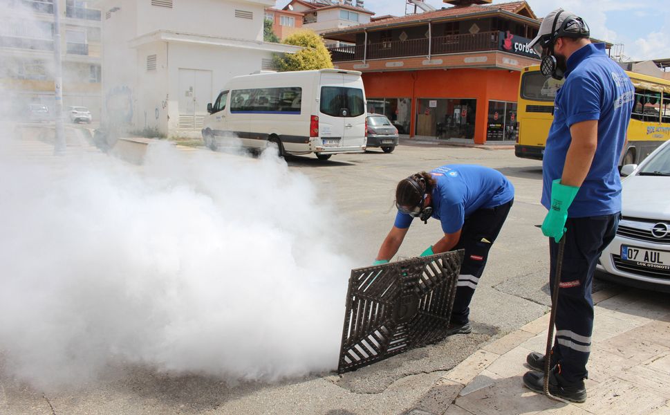 Antalya'nın 19 ilçesinde vektörle yoğun mücadele
