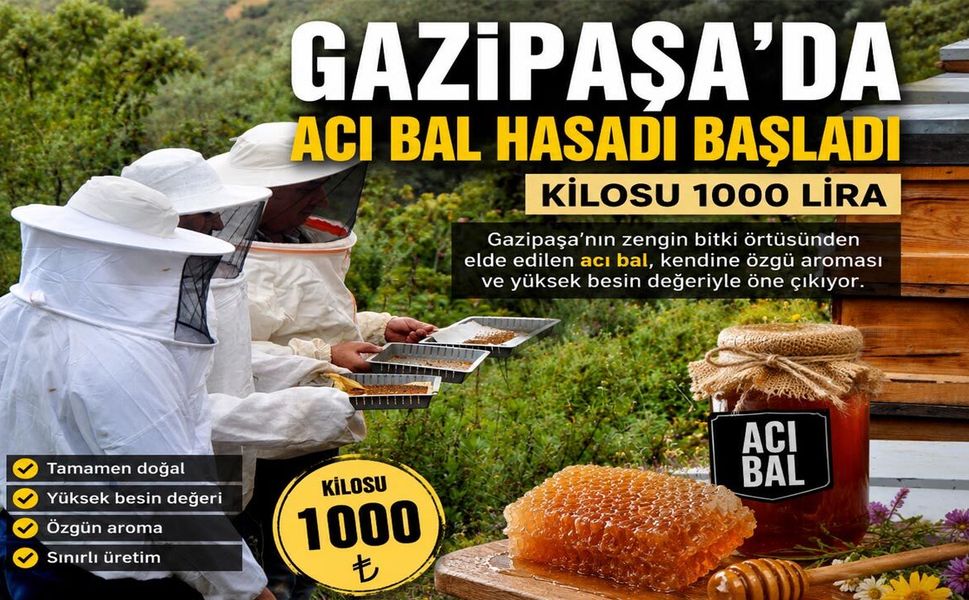 Gazipaşa'da acı bal hasadı başladı: Kilosu 1000 lira
