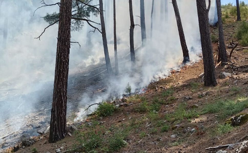 Antalya'da yıldırım düştü: Yangın söndürüldü