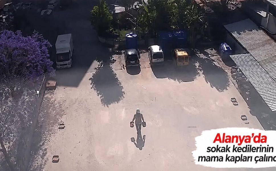 Alanya’da sokak kedilerinin mama kapları çalındı!
