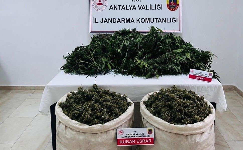 Antalya'da büyük operasyon: 11 Kilo 100 gram kubar esrar ve 200 kök kenevir ele geçirildi