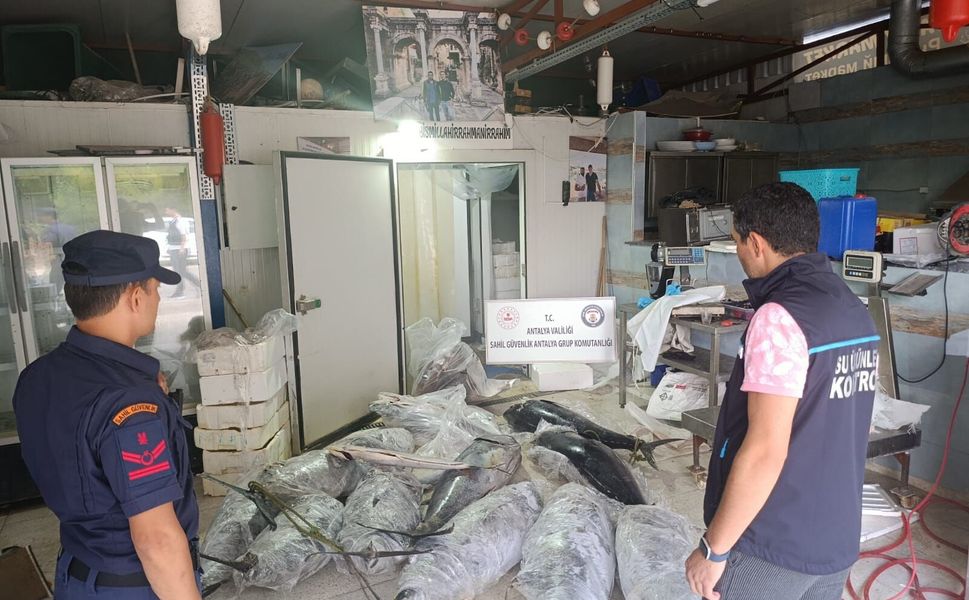 Antalya'da operasyon: 603 Kilogram yasadışı su ürünü ele geçirildi