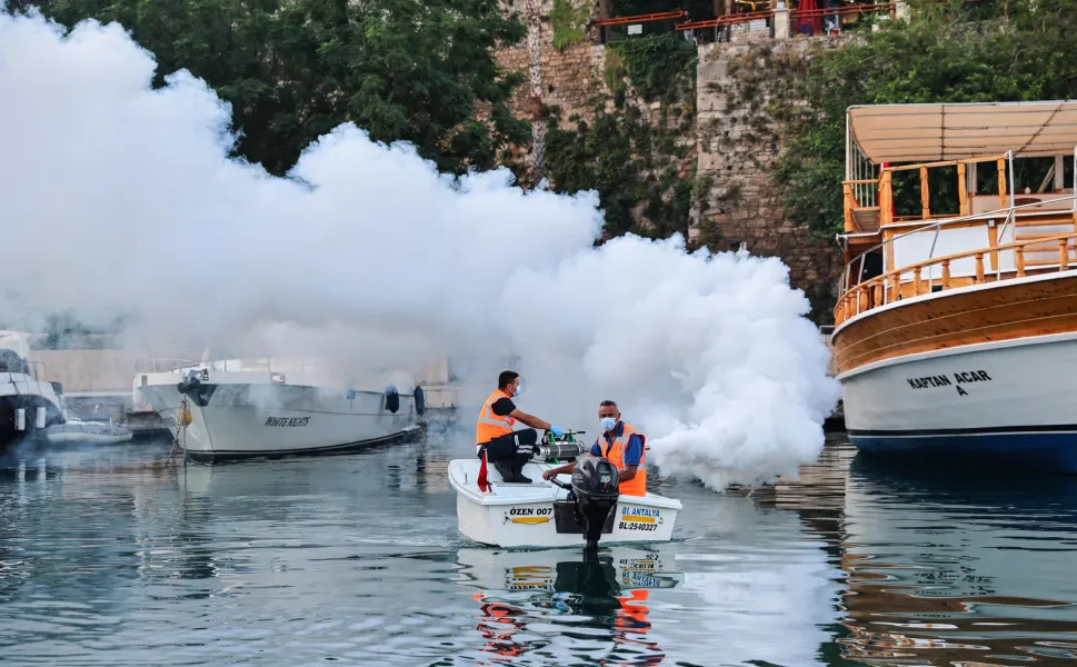 Antalya'da sahil bandında vektörle mücadele