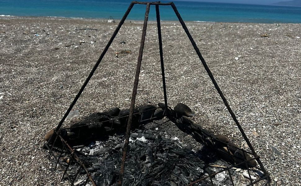 Deniz kaplumbağası koruma demirinin ortasında ateş yaktılar: İnceleme başlatıldı