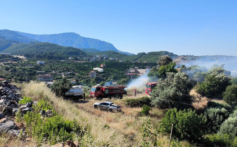 Alanya'da zirai alanda yangın: 1 dönüm zarar gördü