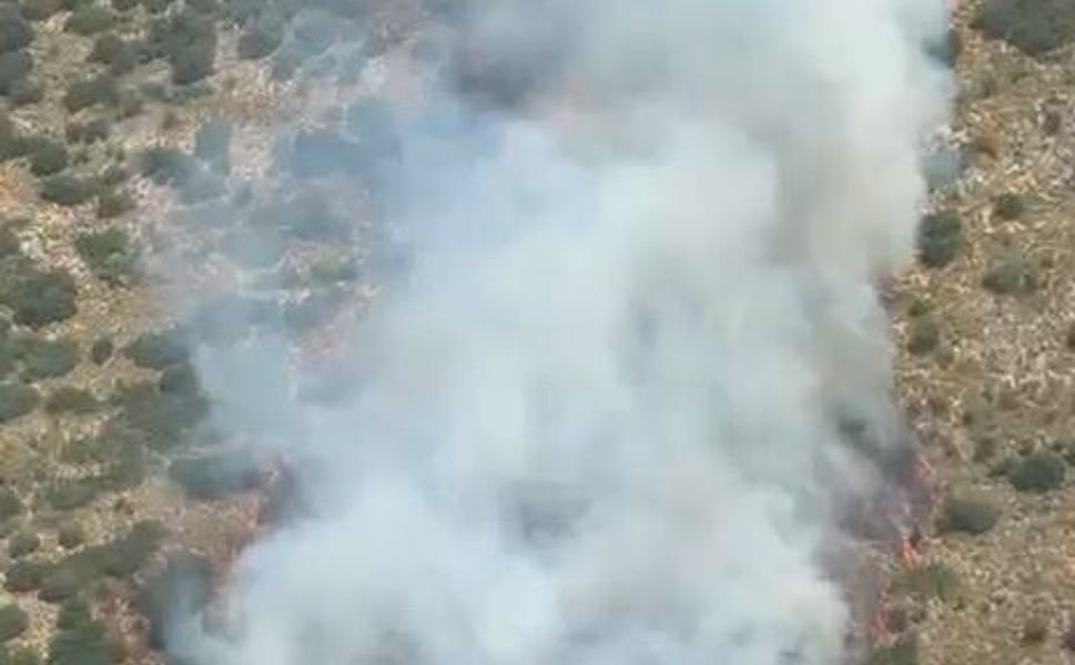 Antalya'da orman yangını