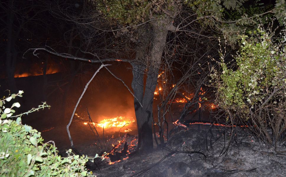 Antalya'da otluk yangınında 100 dönüm zarar gördü