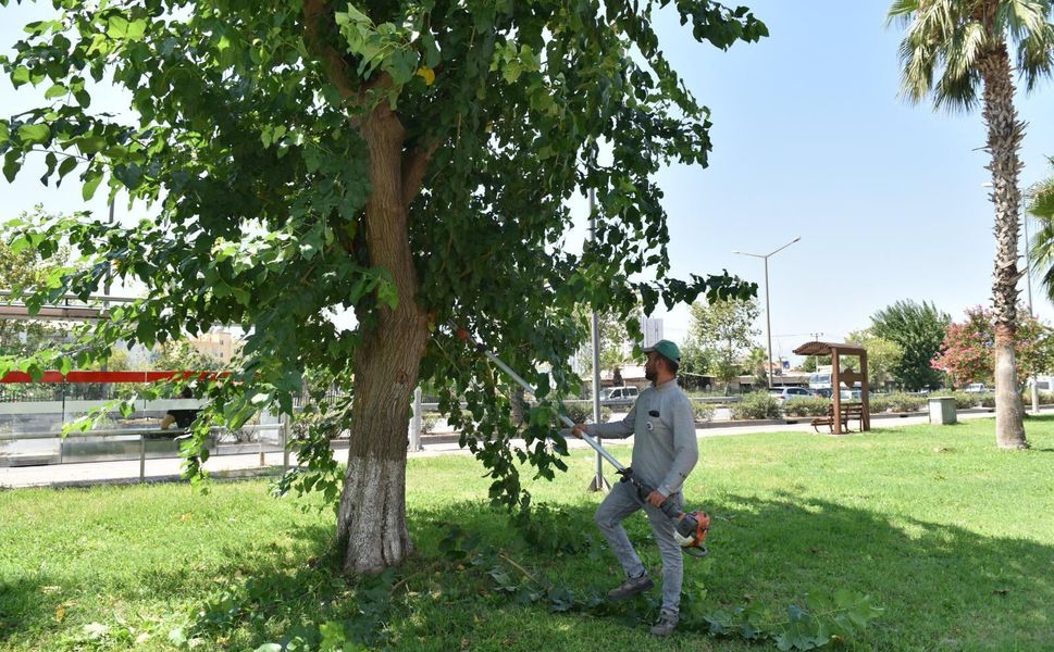 Sokaklardaki 'metruk' tehlikeye ince temizlik