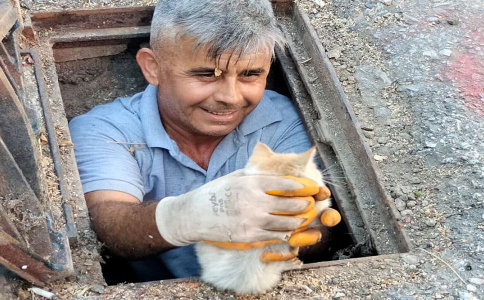 Alanya'da kanalizasyona düşen kedi kurtarıldı
