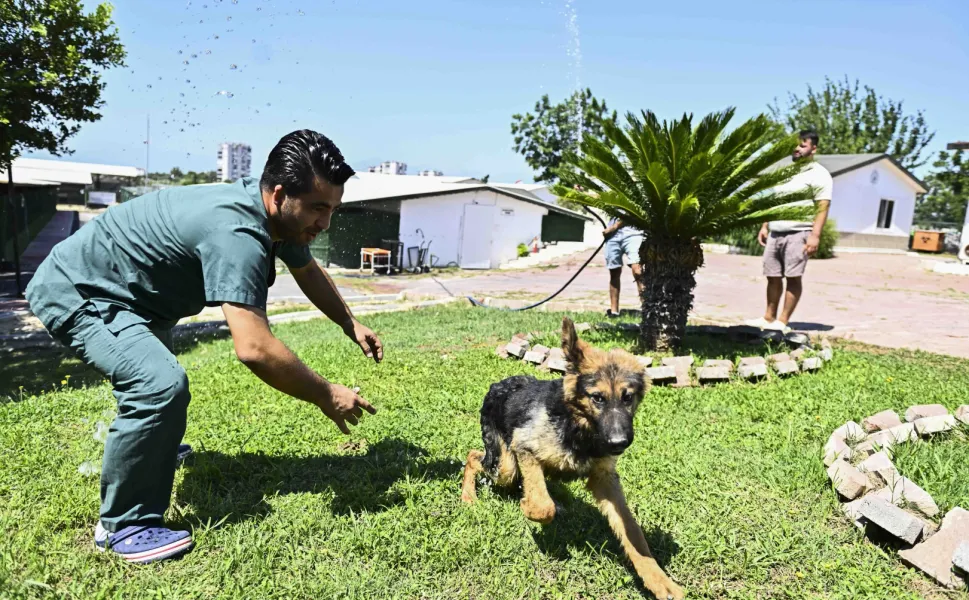 Antalya Muratpaşa'dan patili dostlara serin dokunuş