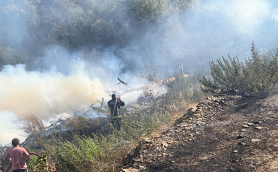 Muz ve avokado bahçeleri yangında zarar gördü