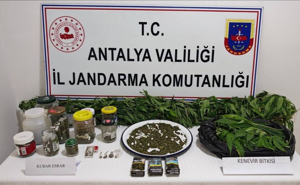 Manavgat'ta operasyon: 2 Kilo esrar ve 130 kök kenevir ele geçirildi