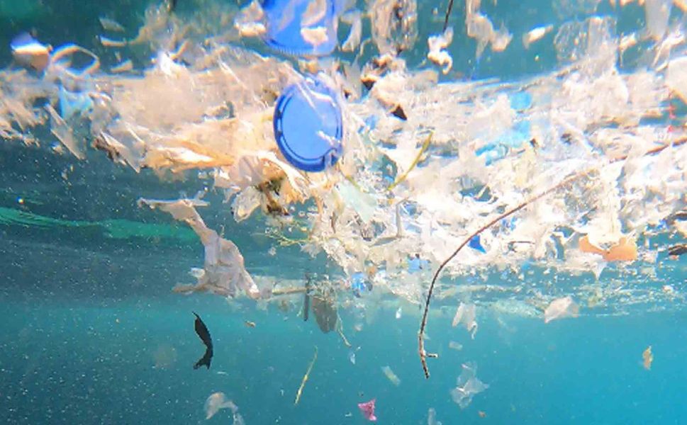 'Akdeniz'deki mikroplastik sorunu çözülmezse turizm sekteye uğrar'