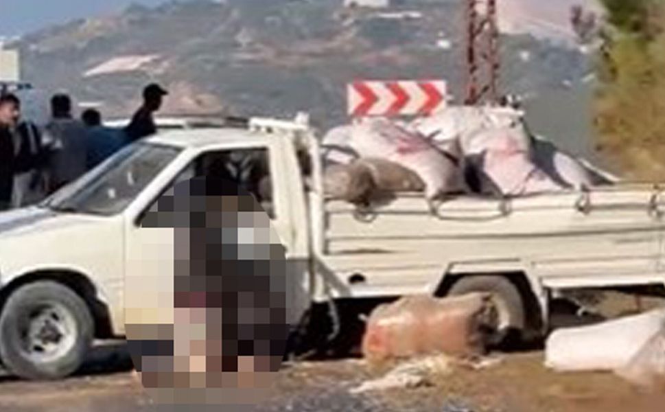 Alanya'da kaza yapan kamyonet sürücüsü yaşamını yitirdi