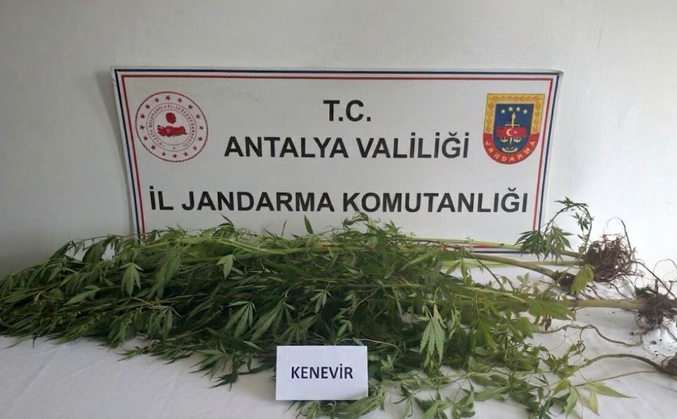 Alanya'da operasyonda 745 gram esrar ele geçirildi