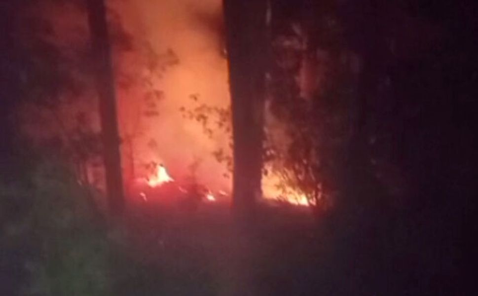 Alanya'da yangından 2 dönüm alan zarar gördü