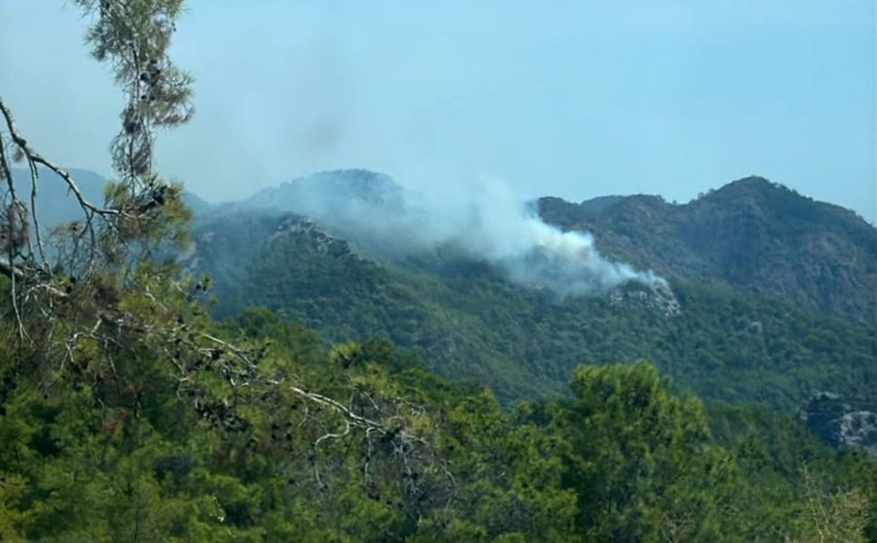 Antalya'da orman yangını