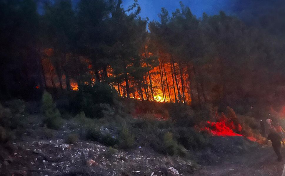 Alanya'da orman yangınında 7 dönüm zarar gördü
