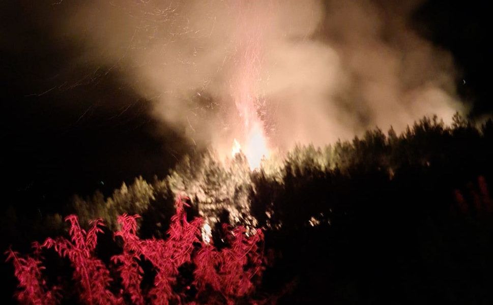 Alanya'da gece başlayan orman yangını söndürüldü