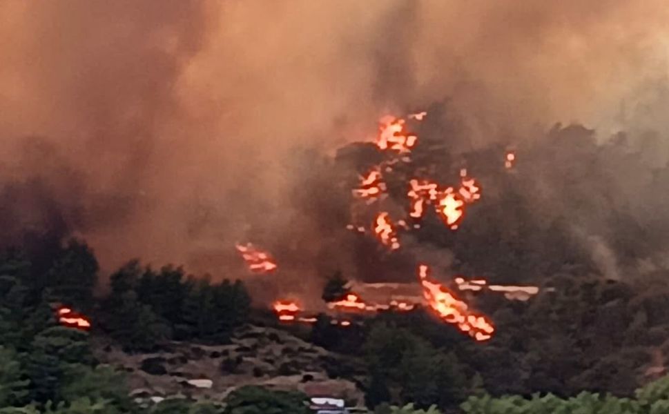 Antalya Kumluca'da orman yangını şüphelisi tutuklandı