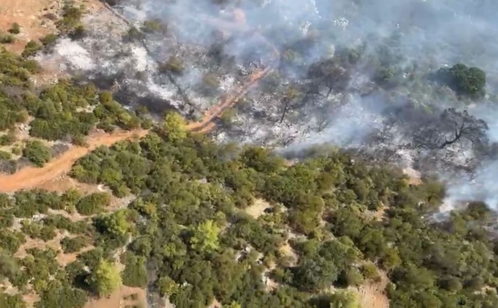 Antalya'da orman yangını