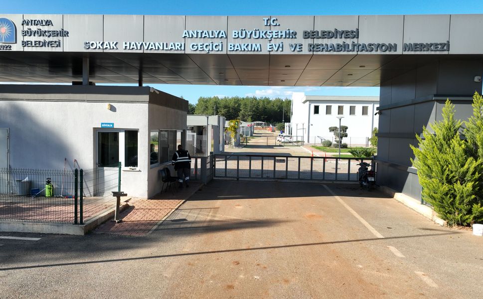 Hayvanseverlerden Büyükşehirin hayvan barınağına tam not