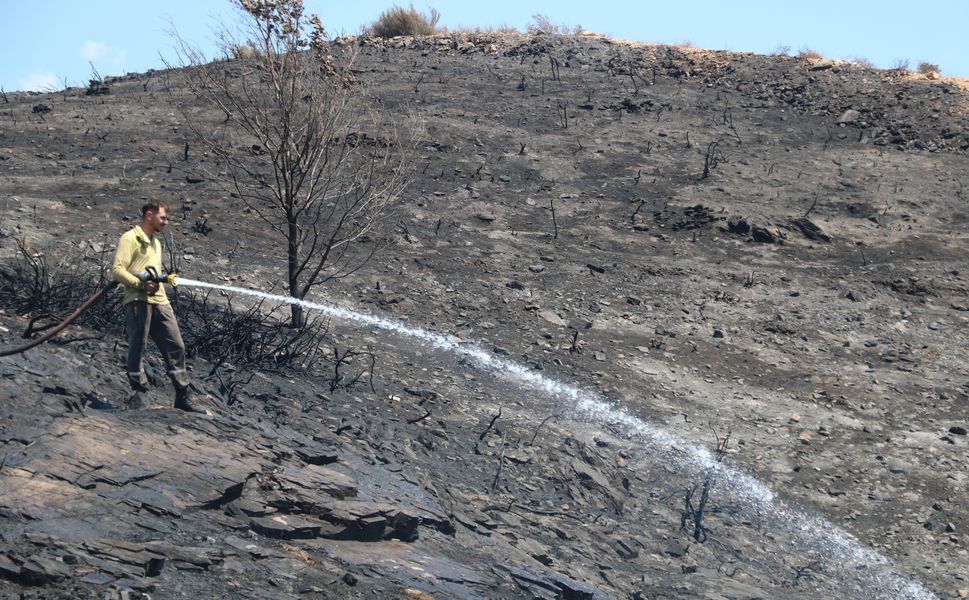 Alanya'da makilik yangınında 10 dönüm zarar gördü