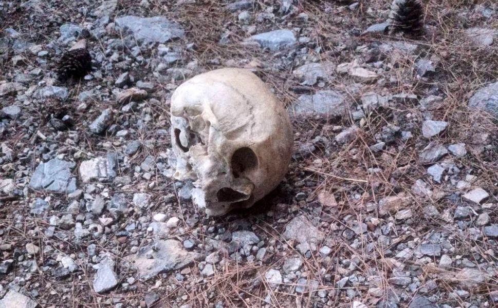 Gazipaşa'da ormanda bulunan kafatası incelemeye alındı