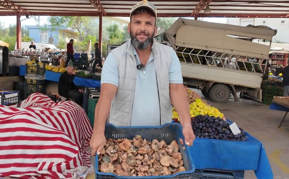 Çıntar mantarı pazar tezgahında