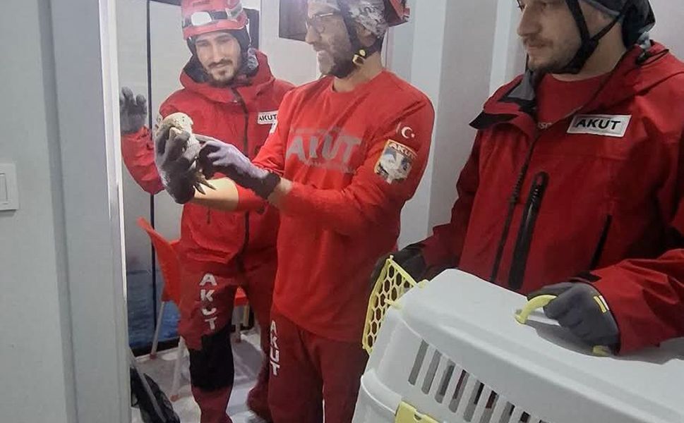 Havalandırma boşluğunda mahsur kalan baykuşu, AKUT kurtardı