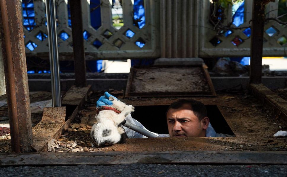 Yer altı çöp konteynerinin altına düşen yavru kediyi ekipler kurtardı
