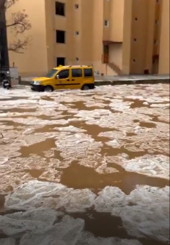 A L A N Y A D A S A G A N A K V E D O L U H A Y A T I O L U M S U Z 1109736 329427