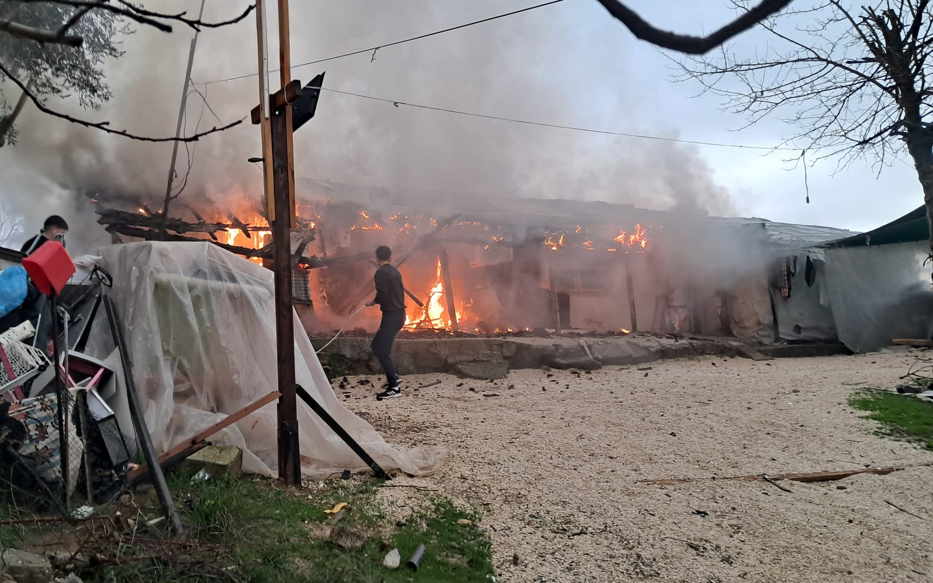 S E R I K T E E V Y A N G I N I 1155132 343022