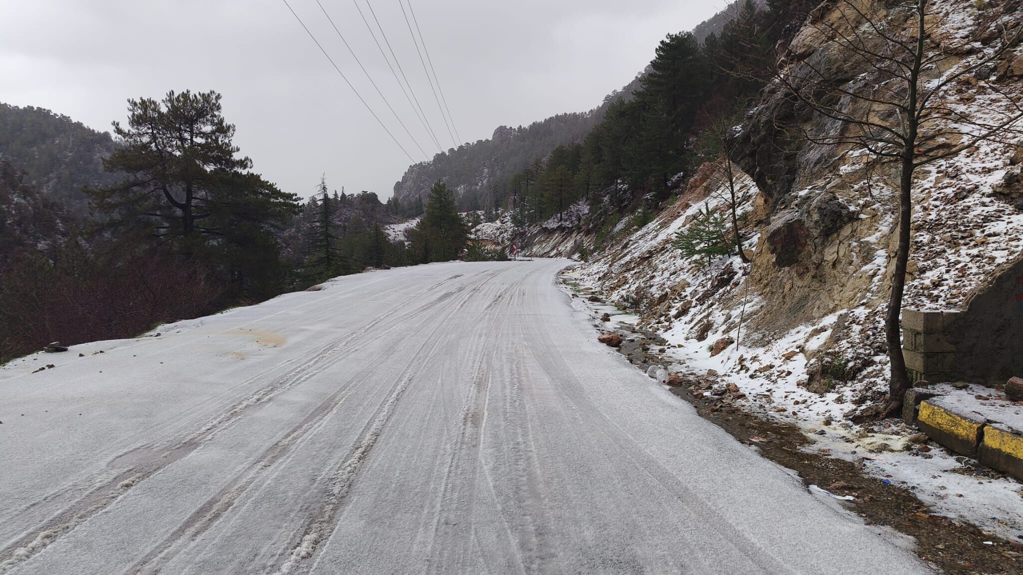 Whatsapp Image 2026 03 29 At 12.29.57