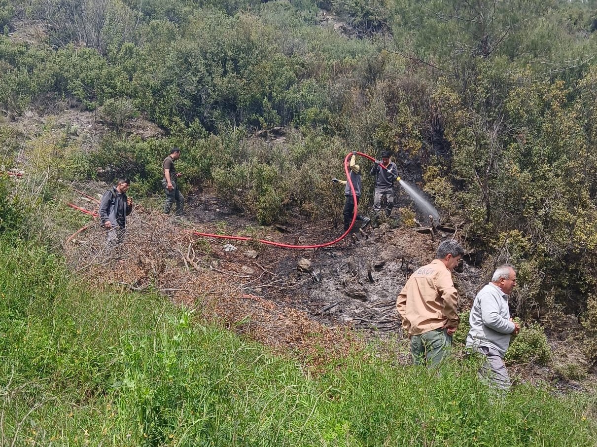 Alanya'da makilik yangını büyümeden söndürüldü
