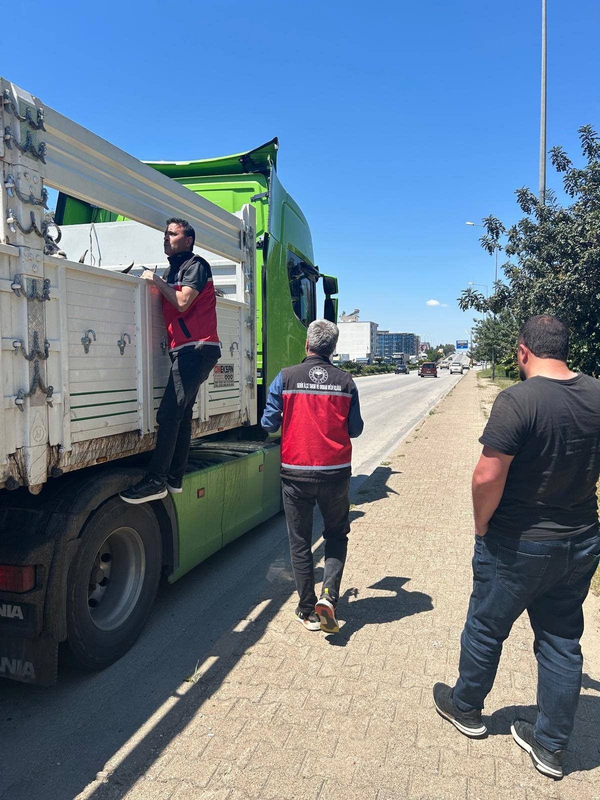 Hayvan nakil araçlarına sıkı denetim
