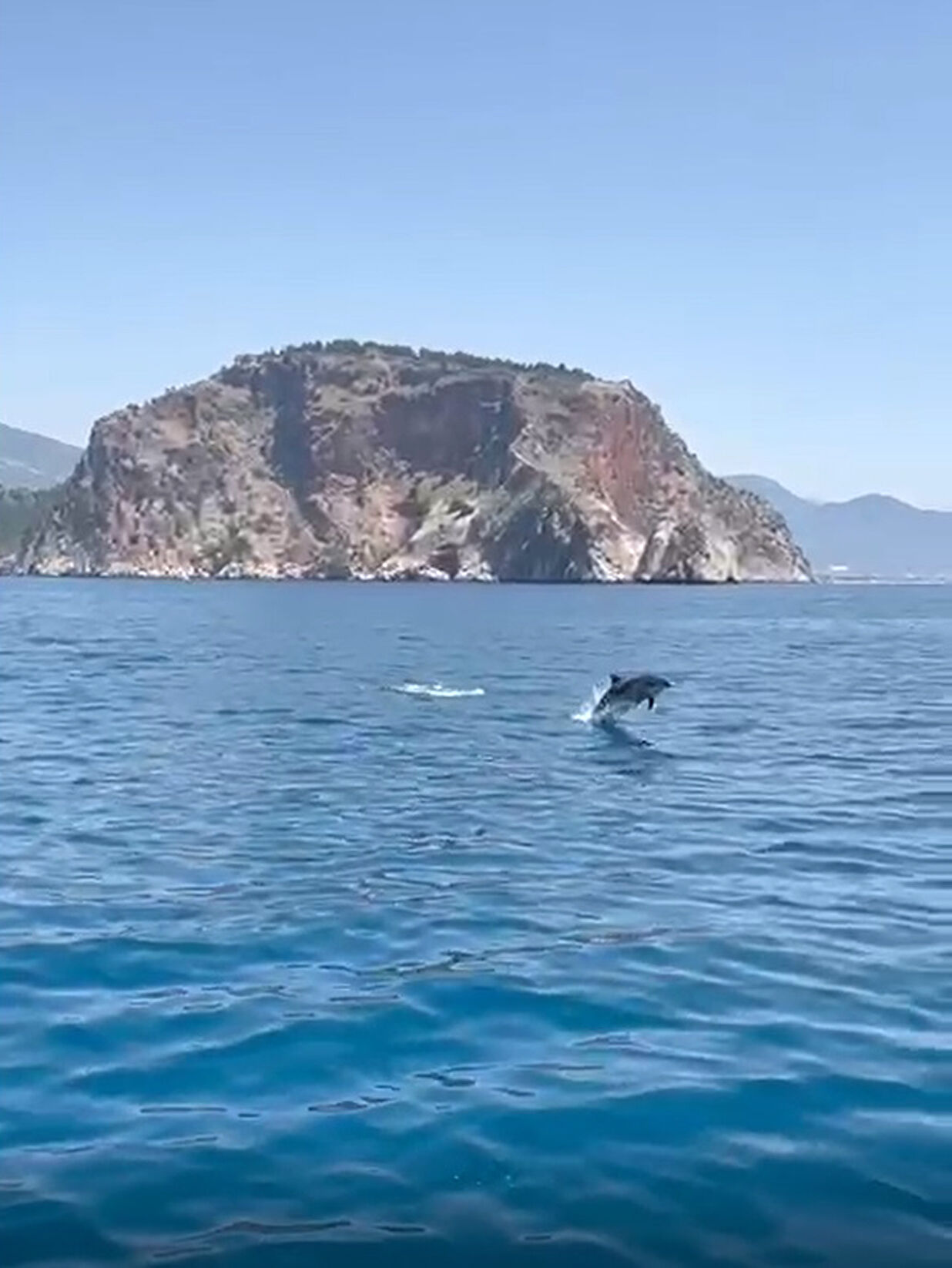 Alanya açıklarında yüzen yunuslar görüntülendi