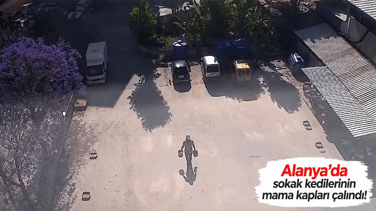 Alanya’da sokak kedilerinin mama kapları çalındı!