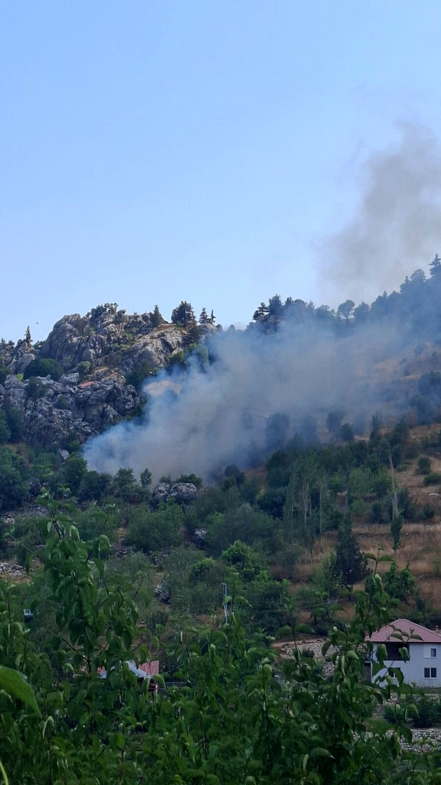 Alanya'da zirai alanda çıkan yangın söndürüldü