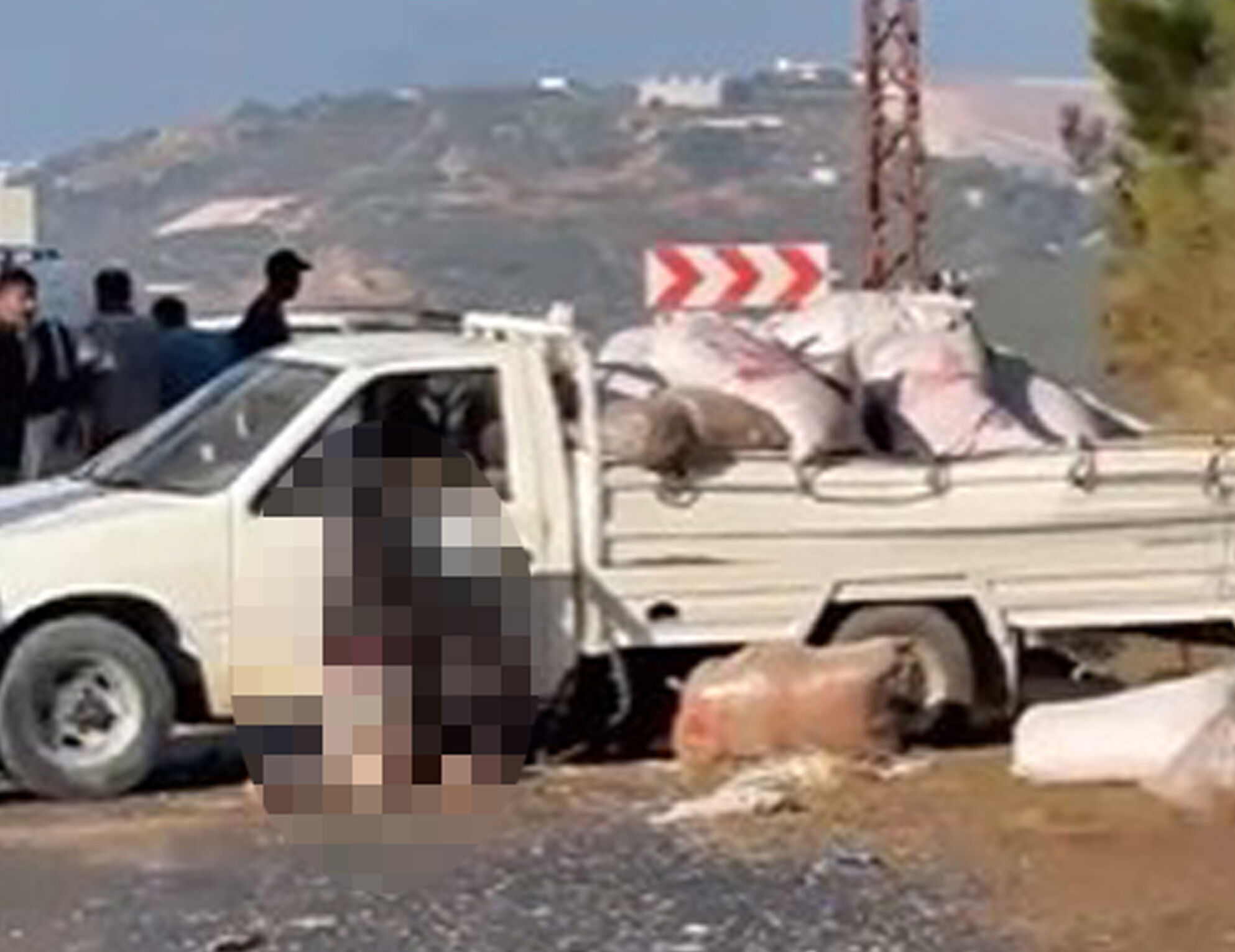 Alanya'da kaza yapan kamyonet sürücüsü yaşamını yitirdi